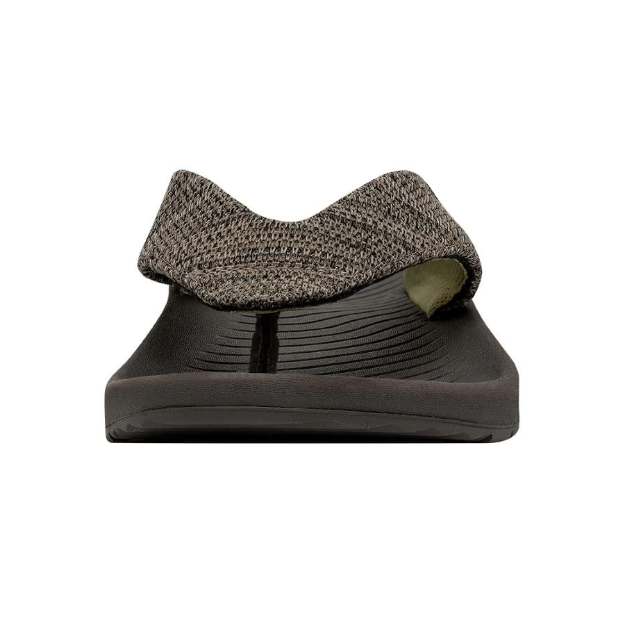 Milo - Brown - Image 4